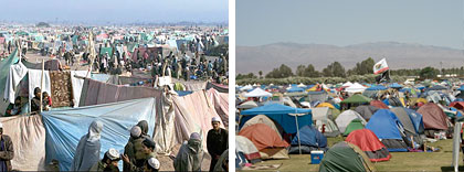 Refugee camp / Coachella music
festival