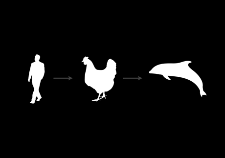 Evolution of Logic
Processing